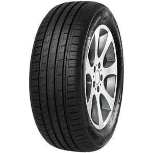 Ofertă limitată MINERVA F209 205/55 R15 88V