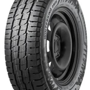 DOUBLESTAR WINTERKING DW06 195/75 R16C 107/105R Chilipir