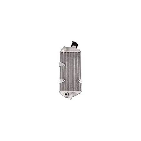 Radiator dreapta Beta XTrainer 036390018000 Promoție