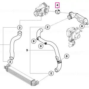 Reducere specială Conector furtun - BMW - Mini