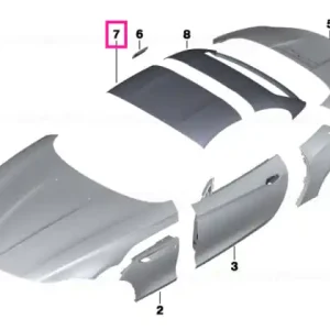Tavă acoperiș față - BMW Plată securizată
